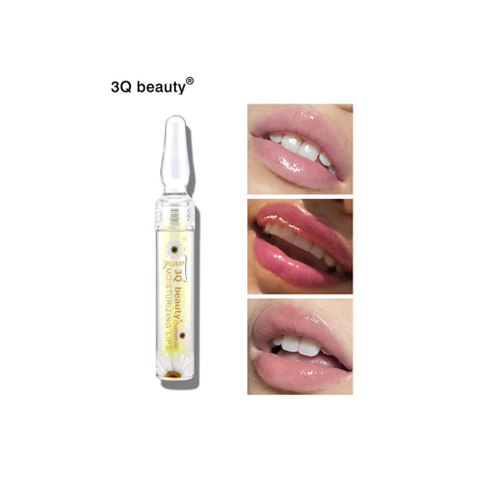 3Q Beauty Lip Plump Lip Gloss